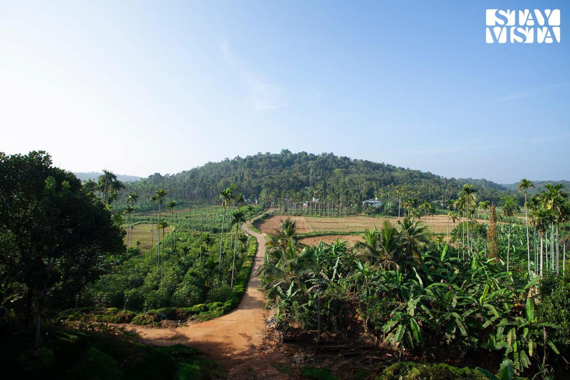 Stayvista At The Big Chill With Breakfast Included Wayanad Εξωτερικό φωτογραφία